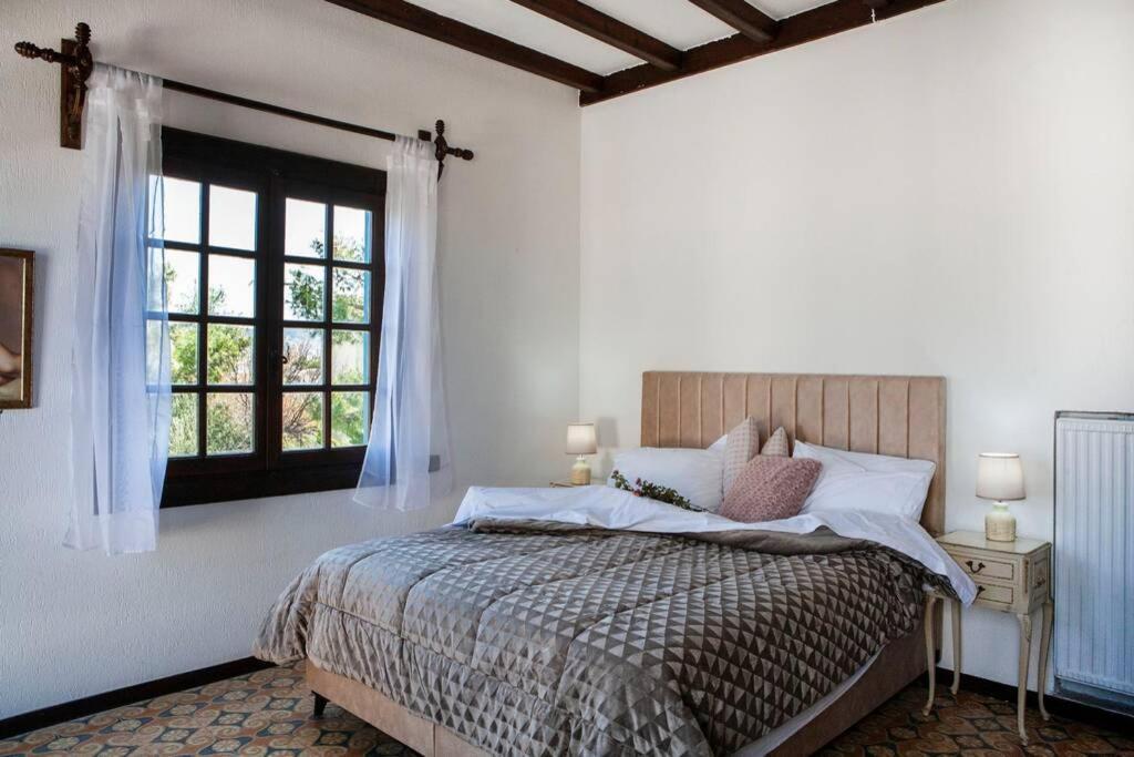 Villa Velissarios: Wonderful Villa Next To Beach Aegina Ngoại thất bức ảnh