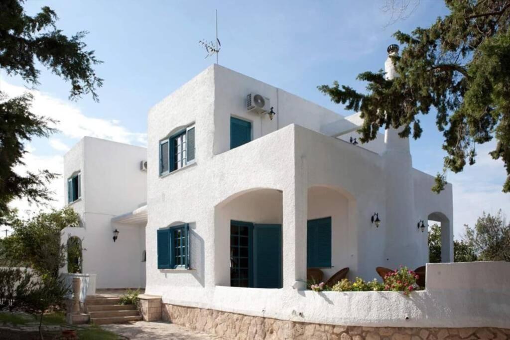 Villa Velissarios: Wonderful Villa Next To Beach Aegina Ngoại thất bức ảnh
