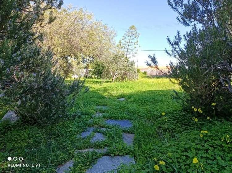 Villa Velissarios: Wonderful Villa Next To Beach Aegina Ngoại thất bức ảnh
