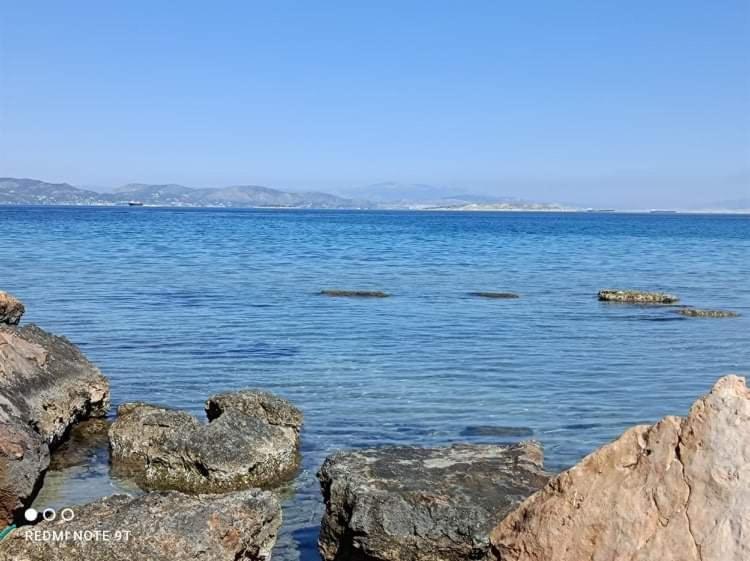 Villa Velissarios: Wonderful Villa Next To Beach Aegina Ngoại thất bức ảnh