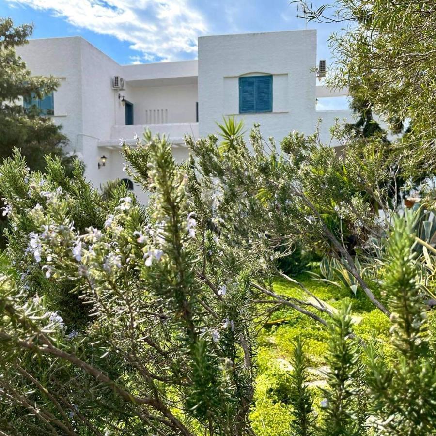 Villa Velissarios: Wonderful Villa Next To Beach Aegina Ngoại thất bức ảnh
